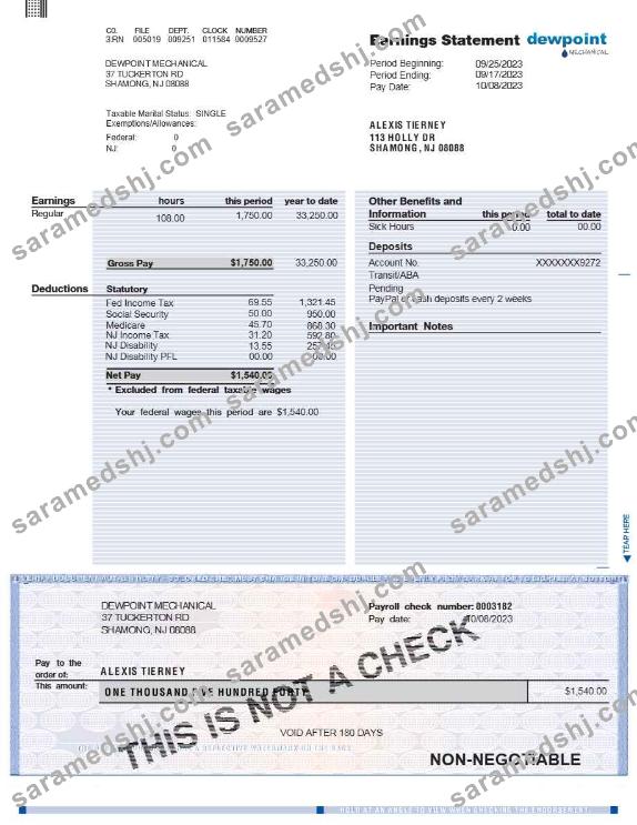 DEWPOINT MECHANICAL earnings statement template in Word and PDF formats.pdf, 1